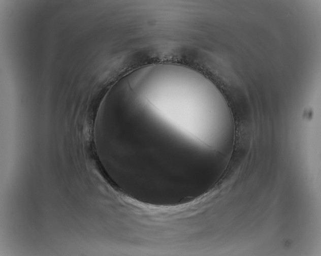 X0000097000039200802151424