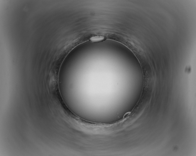 X0000097000040200802151424