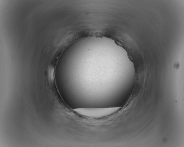 X0000097000041200802151424