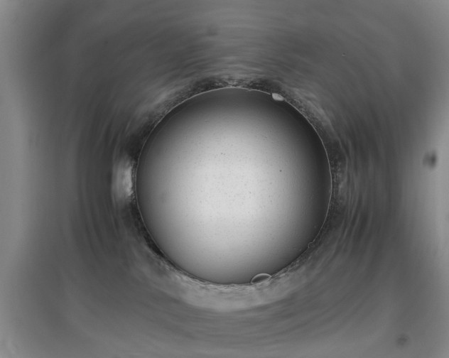 X0000097000042200802151424