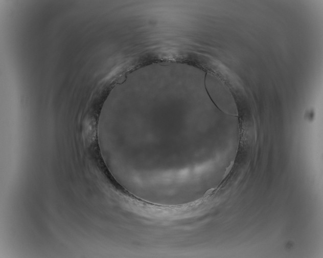 X0000097000043200802151424