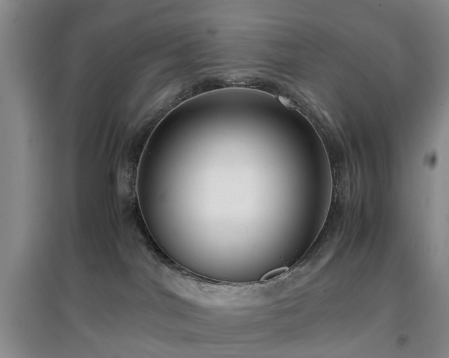 X0000097000044200802151424