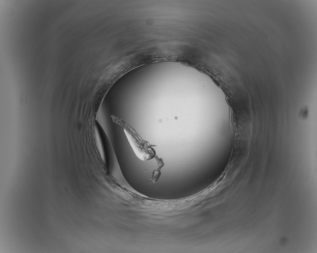 X0000097000045200802151424