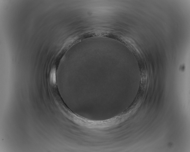 X0000097000046200802151424