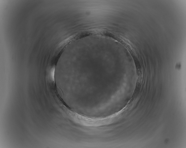 X0000097000047200802151424