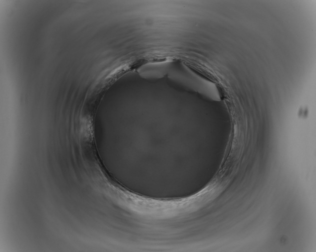 X0000097000048200802151424