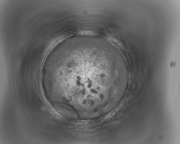 X0000097000049200802151423