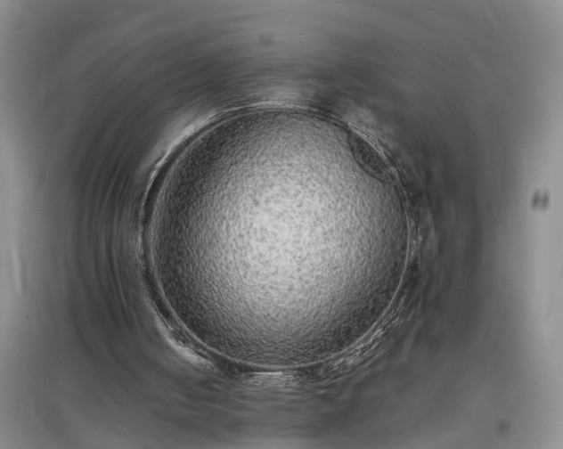 X0000097000050200802151423