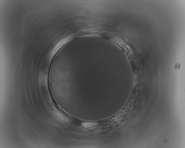 X0000097000051200802151423