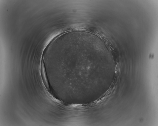 X0000097000052200802151423