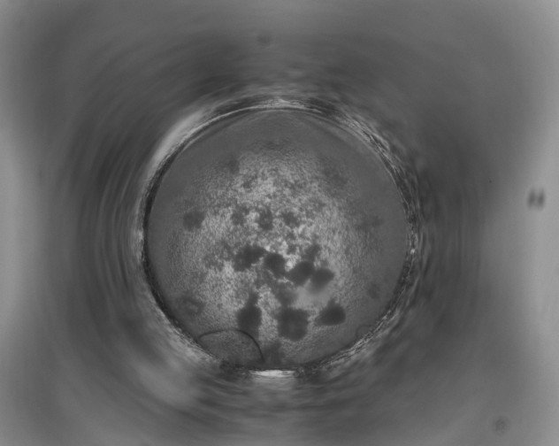 X0000097000053200802151423