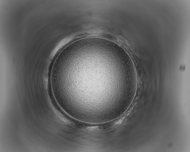 X0000097000054200802151423