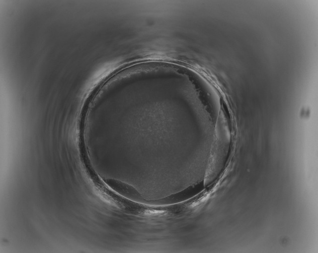 X0000097000055200802151423