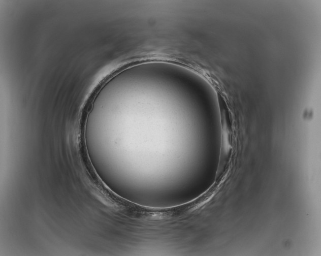 X0000097000056200802151423