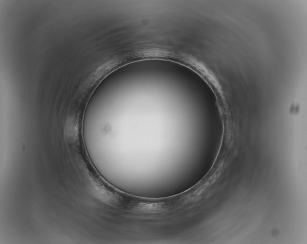 X0000097000057200802151423