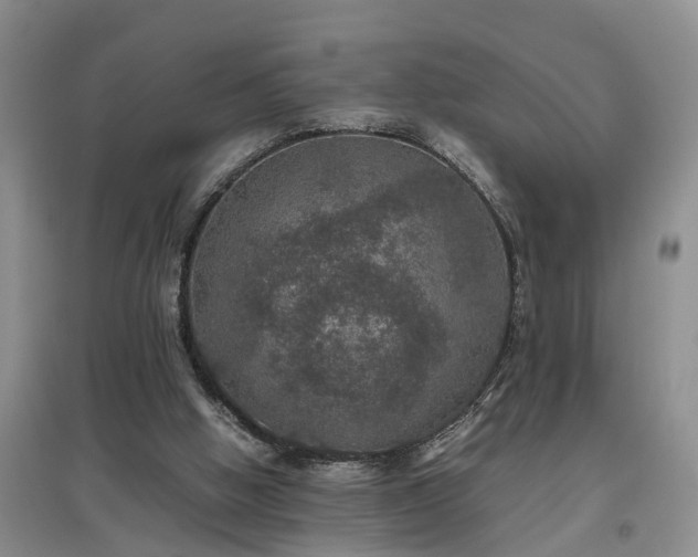 X0000097000058200802151423