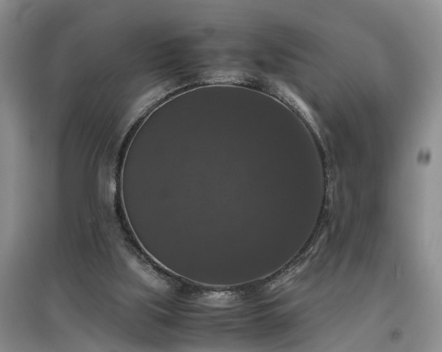 X0000097000059200802151423