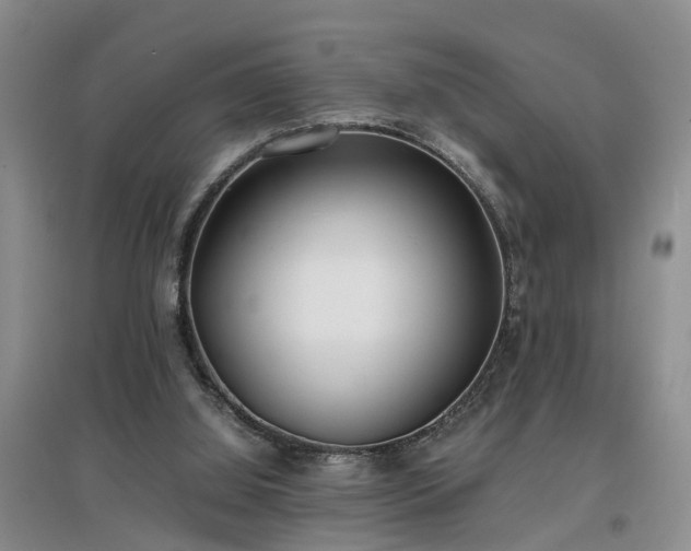 X0000097000060200802151423