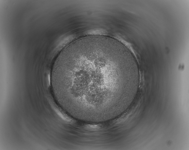 X0000097000061200802151423