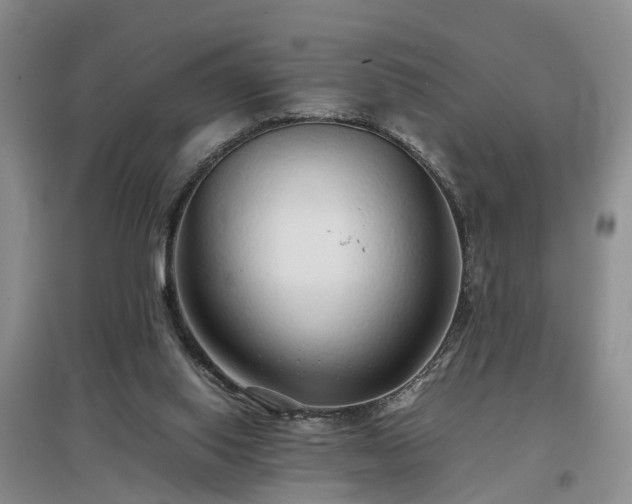 X0000097000062200802151423