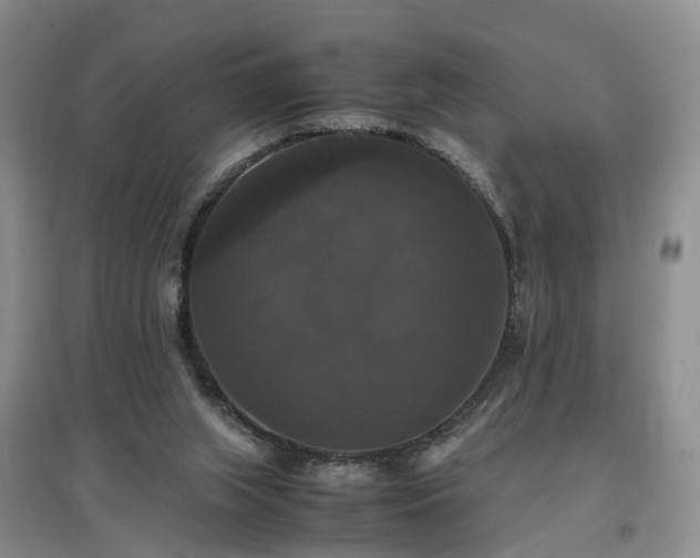 X0000097000063200802151423