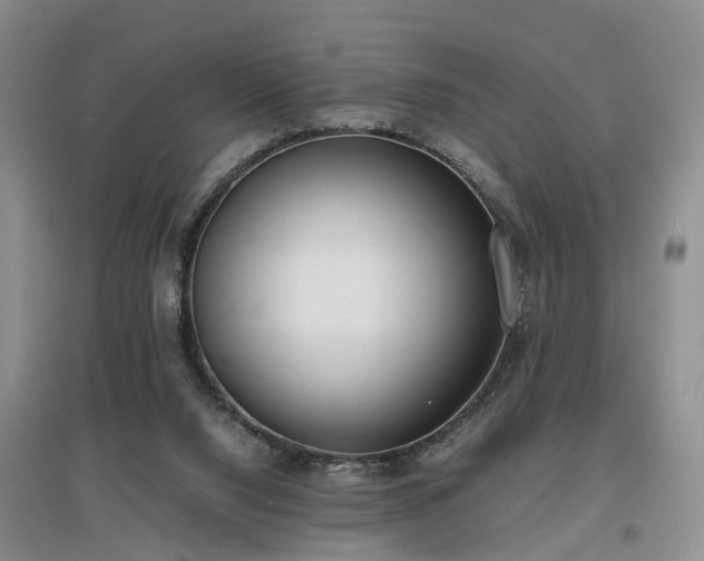 X0000097000064200802151423