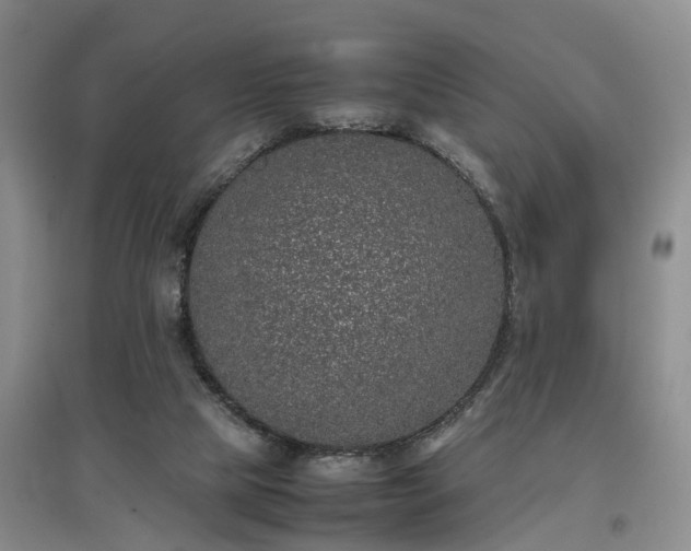 X0000097000065200802151423