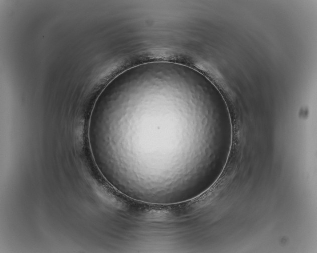 X0000097000066200802151423