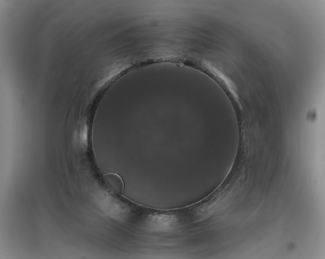 X0000097000067200802151423