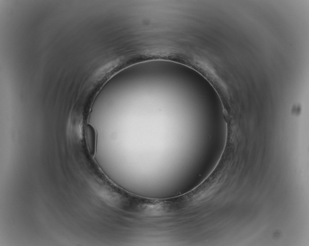 X0000097000068200802151423