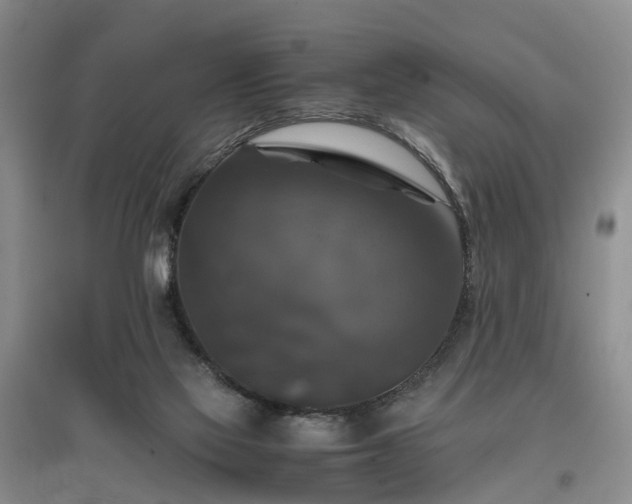 X0000097000069200802151423