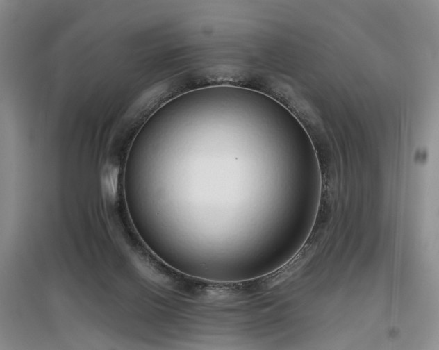 X0000097000070200802151423