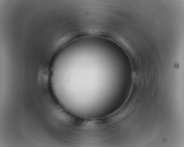 X0000097000072200802151423