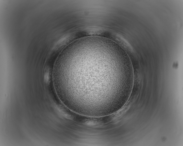 X0000097000074200802151423