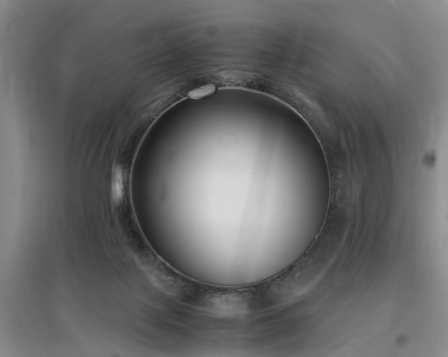 X0000097000075200802151423