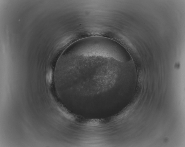 X0000097000076200802151423