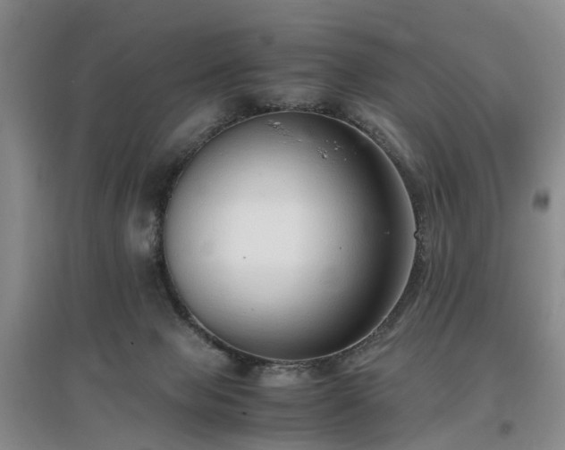 X0000097000077200802151423