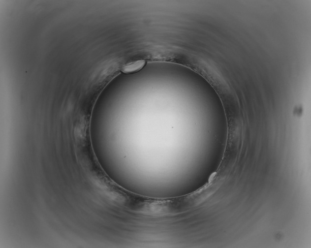 X0000097000078200802151423