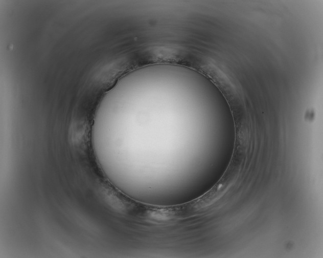 X0000097000079200802151423