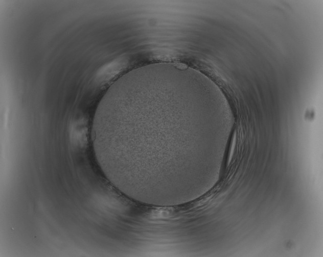 X0000097000080200802151423