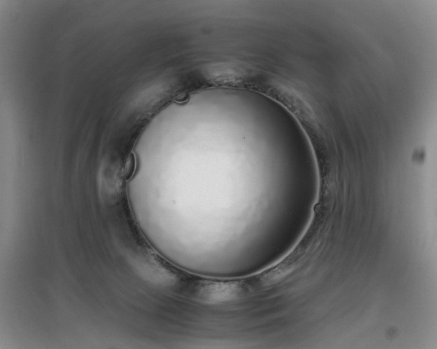 X0000097000081200802151423