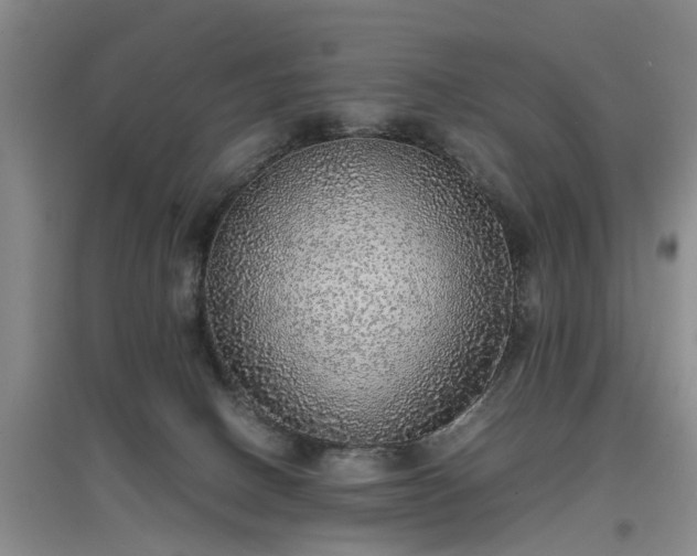 X0000097000082200802151423