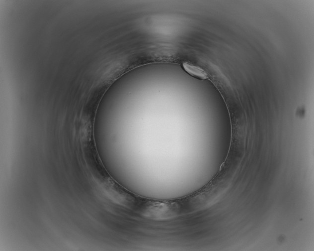 X0000097000083200802151423