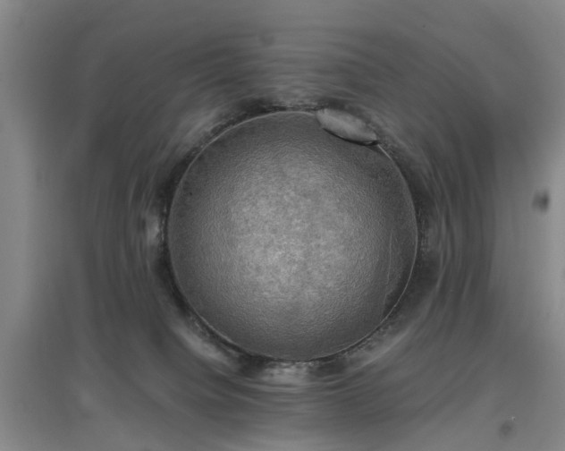 X0000097000084200802151423