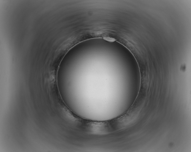 X0000097000085200802151423