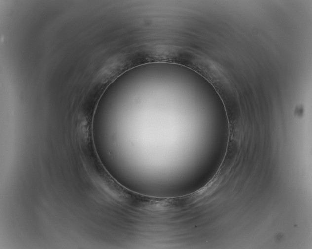 X0000097000086200802151423