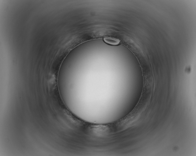 X0000097000087200802151423