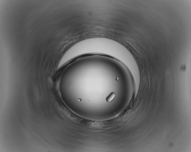 X0000097000088200802151423