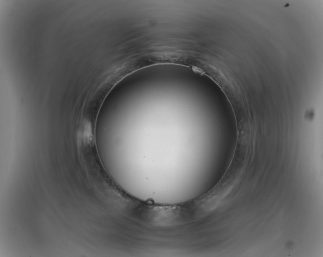 X0000097000089200802151423