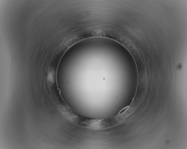 X0000097000090200802151423